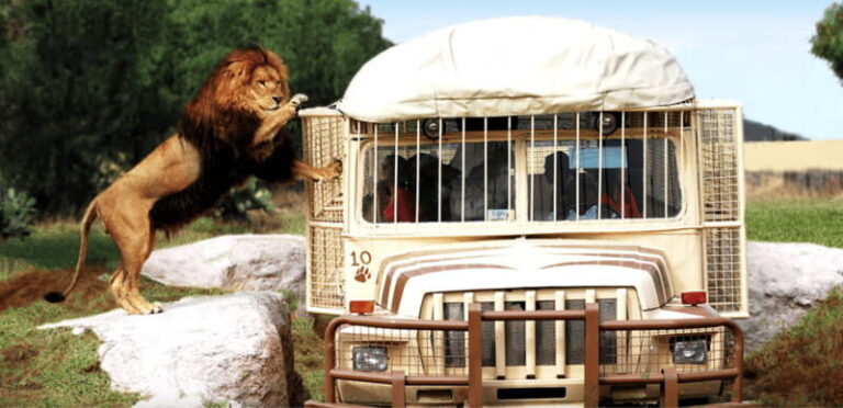 Teotihuacan: Entrance to Animal Kingdom Park; Adventure & Nature - What to Expect on the Day