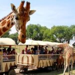 Teotihuacán for kids - Authentic Feedback from Families