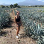 Tequila and Cantaritos Tour from Guadalajara - How the Tour Balances Value and Experience