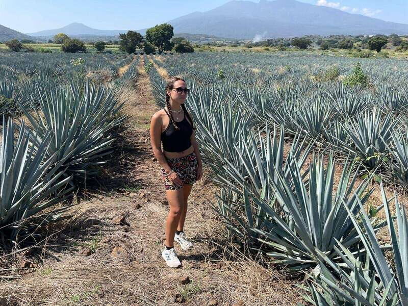 Tequila and Cantaritos Tour from Guadalajara - How the Tour Balances Value and Experience