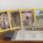 Tequila and Mezcal tasting in an educational tasting room - Who Will Love This Tour?