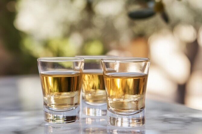 Tequila and Mezcal Tasting in Colonial Mansion Restaurante Diego - Who Will Love This Tour?