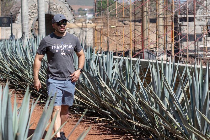 Tequila Day Trip - Practical Details and Travel Value