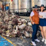 Tequila Express Tour from Guadalajara - Transport and Timing