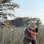 Tequila: Town and Distillery Guided Tour with Tastings - The Distillery Experience