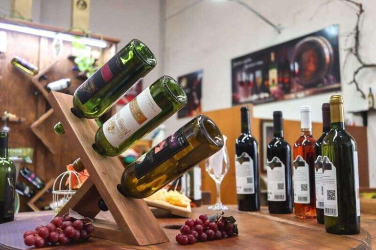 Tequisquiapan: UTV Adventure with Winery and Cheese Tasting - Why This Tour Works