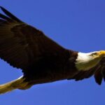 Teton Views Scenic Float Trip - The Practicalities: What to Know Before You Go