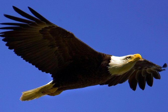 Teton Views Scenic Float Trip - The Practicalities: What to Know Before You Go