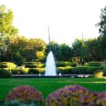 Texas Discovery Gardens General Admission - Exploring Texas Discovery Gardens: What to Expect