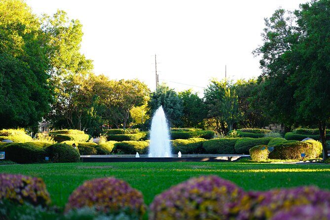 Texas Discovery Gardens General Admission - Exploring Texas Discovery Gardens: What to Expect