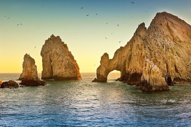 The Arch of Los Cabos Glass-bottom boat tour - Practical Details: Transportation, Duration, and Cost