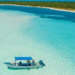 The Best Cozumel Snorkeling Tour Palancar, Colombia and El Cielo Reefs - The Sum Up