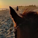 The Best Horseback Riding Trip: Wildlife, Rivers, Beach, Sunset.. - Detailed Itinerary Breakdown