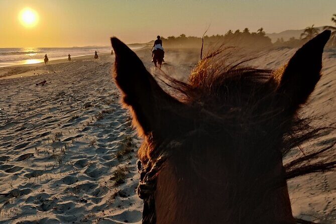 The Best Horseback Riding Trip: Wildlife, Rivers, Beach, Sunset.. - Detailed Itinerary Breakdown