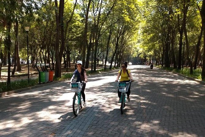 The best of Mexico City Bike Experience EXPRESS - The Itinerary: What You’ll See and Experience