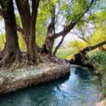 The best tour to Bustamante + Guide + transfer + tickets - Analyzing Value and Practicality