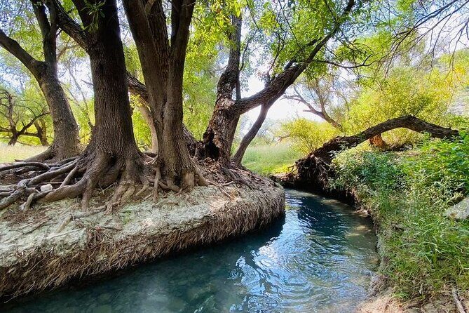 The best tour to Bustamante + Guide + transfer + tickets - Analyzing Value and Practicality