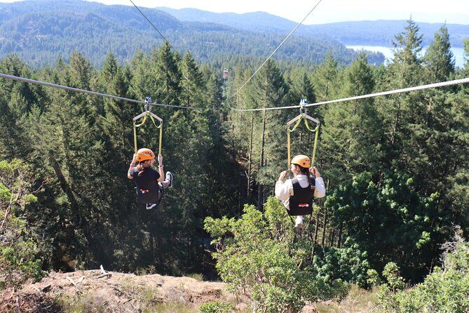 The Big Zip Experience - Practical Tips for Visitors