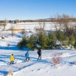The Blue Mountains: Snowshoe Hike & Wine Tasting Tour - What to Expect on the Tour
