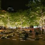 The Dark Christmas Tour (Lower Manhattan) - What Travelers Can Expect