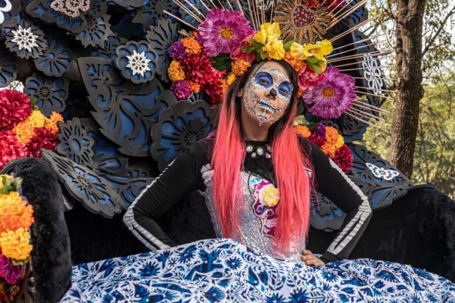 The Day of the Dead Private Tour in Mexico City - Who Should Consider This Tour?