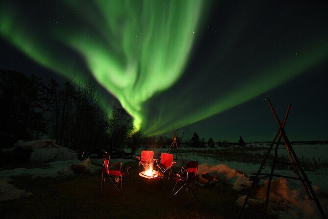 The Greatest Valuable Aurora Manor & Hunting Tour --Exclusive Tour Operator - In-Depth Breakdown of the Tour Experience