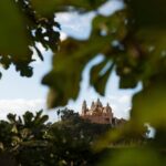 The Magic of Cholula and Tonanzintla (private tour) - Detailed Breakdown of the Itinerary