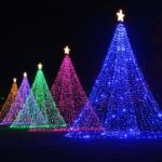 The Magic of Christmas at the Butchart Gardens - Why This Tour Works Well