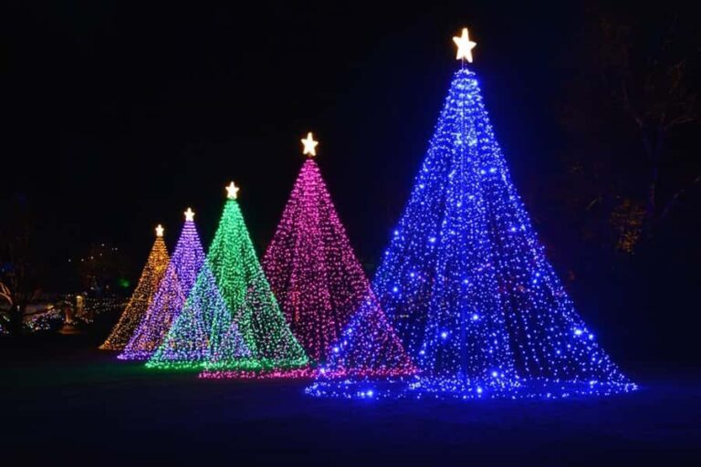 The Magic of Christmas at the Butchart Gardens - Why This Tour Works Well