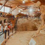 The Mammoth Site of Hot Springs General Admission Ticket - How the Tour Is Structured