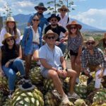 The Mezcal Journey - Why This Tour Excels Based on Reviews