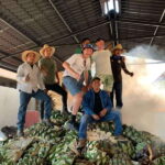 The Mezcal Journey - Practical Details and Value