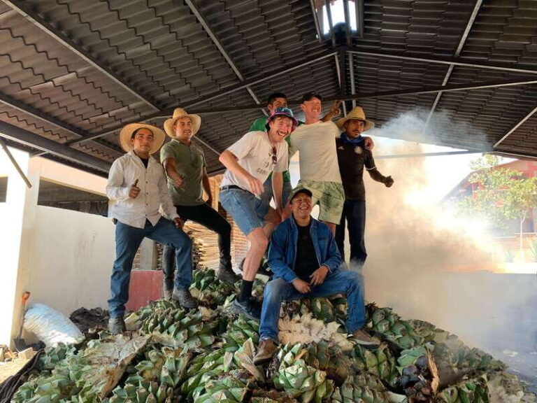 The Mezcal Journey - Practical Details and Value