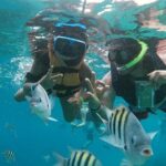 The Perfect Day in Chankanaab Park Cozumel - The Itinerary in Detail: What to Expect