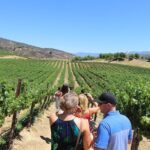 The Shared Temecula Wine Tour from Anaheim - Why Travelers Love It