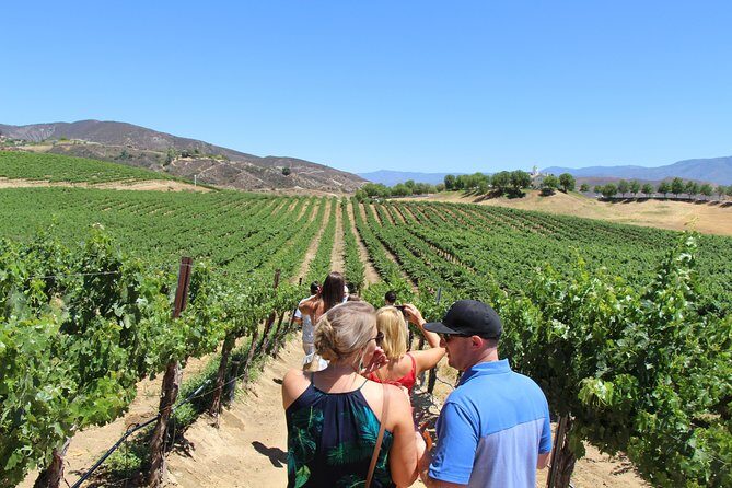 The Shared Temecula Wine Tour from Anaheim - Why Travelers Love It