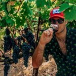 The Ultimate Wine Country Experience ( Private & All-Inclusive) - Why This Tour Could Be a Perfect Choice