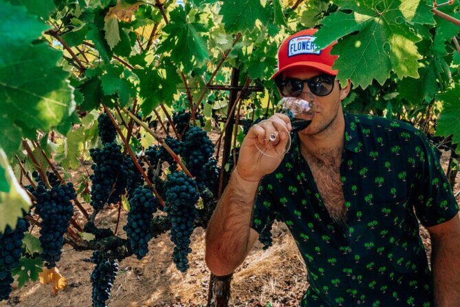 The Ultimate Wine Country Experience ( Private & All-Inclusive) - Why This Tour Could Be a Perfect Choice