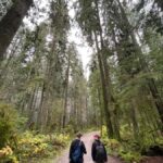 The Vancouver Summit Walk - Why This Tour Offers Genuine Value