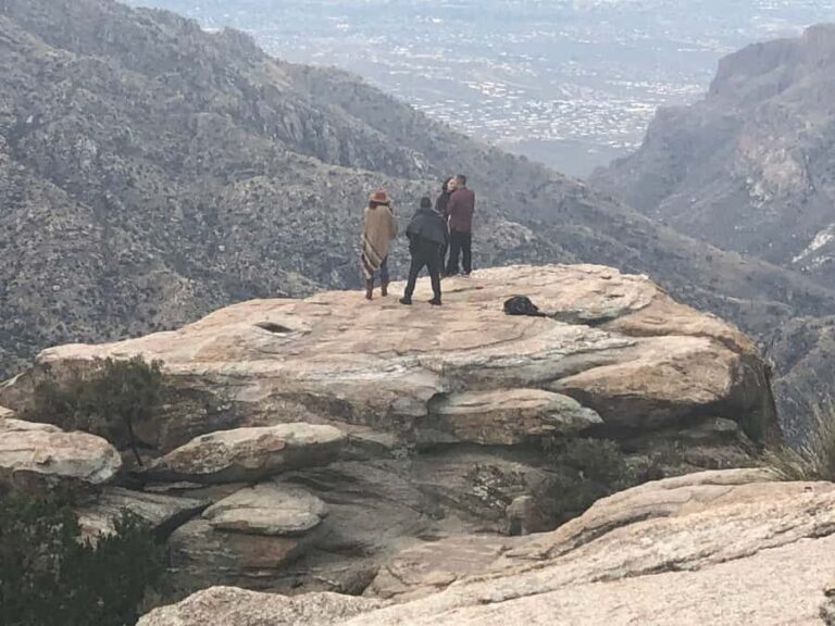 This guid tour lets the customers experience 4 bio zones. - The Sum Up