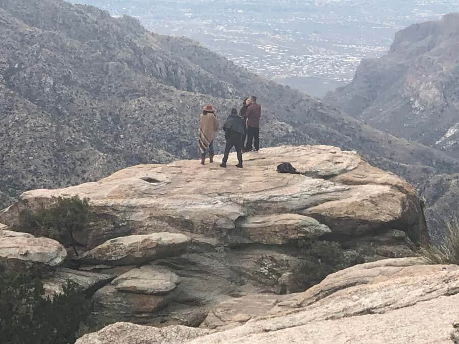 This guid tour lets the customers experience 4 bio zones. - The Sum Up