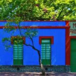 Ticket to the Frida Kahlo Museum - The digital component and guides