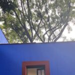 Tickets for Frida Kahlo Casa Azul Museum - Practical Details and Considerations