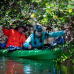 Tierra Verde: Kayak Tour at Shell Key with Capt Yak - Practical Details and Value