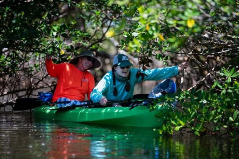 Tierra Verde: Kayak Tour at Shell Key with Capt Yak - Practical Details and Value