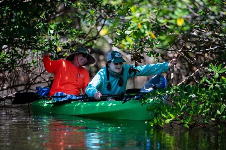 Tierra Verde: Kayak Tour at Shell Key with Capt Yak - Practical Details and Value