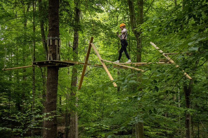 TimberTrek Treetop Challenge Adventure - The Itinerary: What You Can Expect