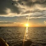 Titusville: Sunset and Bioluminescent Kayaking Tour - What to Expect on the Tour