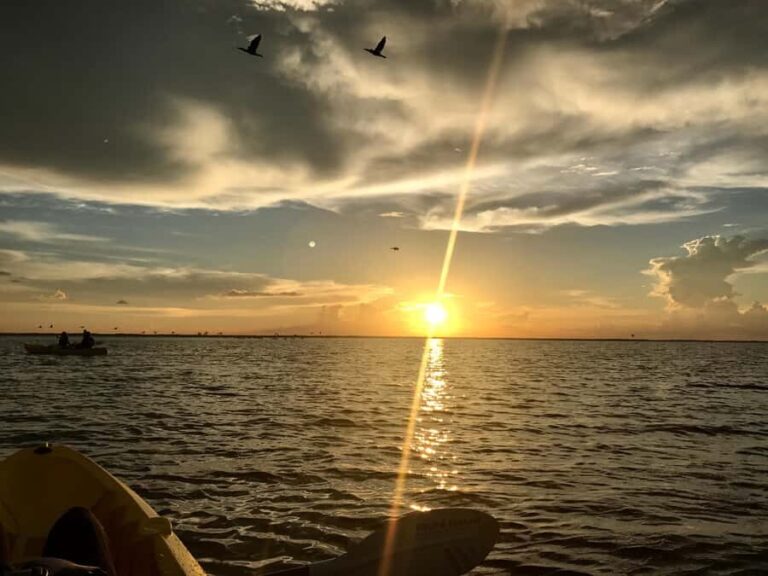 Titusville: Sunset and Bioluminescent Kayaking Tour - What to Expect on the Tour