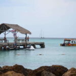 Tobago: Buccoo Reef Glass Bottom Boat Tour - The Practical Side: What to Know